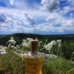 عطر ادکلن مانتین هانی بروکارد - Mountain Honey (Горный Мёд) Brocard - بررسی، قیمت و خرید