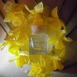 عطر ادکلن ایلوژیون تونکا سولر بوتگا ونتا - Illusione Tonka Solaire Bottega Veneta - بررسی، قیمت و خرید