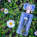 عطر ادکلن بیاند پارادایس اِستِه لادِر - Beyond Paradise Estée Lauder - بررسی، قیمت و خرید