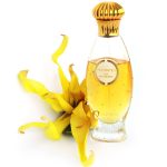 عطر ادکلن ناکترنز د کارون کارُن - Nocturnes de Caron Caron - بررسی، قیمت و خرید