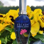 عطر ادکلن سانتورینی سان‌رایز اسکادا - Santorini Sunrise Escada - بررسی، قیمت و خرید