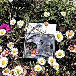 عطر ادکلن تروث فور من کلوین کلاین - Truth For Men Calvin Klein - بررسی، قیمت و خرید