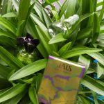 عطر ادکلن جی‌س اتکینسونز - Jais Atkinsons - بررسی، قیمت و خرید