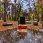 عطر ادکلن میرور بروکارد - Mirror Brocard - بررسی، قیمت و خرید