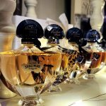 عطر ادکلن شالیمار میلزیم تونکا گرلن - Shalimar Millésime Tonka Guerlain - بررسی، قیمت و خرید