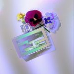عطر ادکلن فن دی فندی او فرش فن دی - Fan di Fendi Eau Fraiche Fendi - بررسی، قیمت و خرید