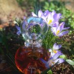 عطر ادکلن بیژن بیژن - Bijan Bijan - بررسی، قیمت و خرید