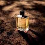 عطر ادکلن تر د هرمس اِرمِس - Terre d'Hermès Hermès - بررسی، قیمت و خرید