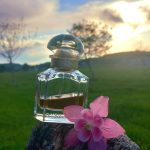 عطر ادکلن مون گرلن گِرلَن - Mon Guerlain Guerlain - بررسی، قیمت و خرید
