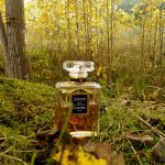 عطر ادکلن کوکو او دو پرفیوم شانل - Coco Eau de Parfum Chanel - بررسی، قیمت و خرید