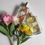 عطر ادکلن بل اورانژه فراگونار - Bel Oranger Fragonard - بررسی، قیمت و خرید