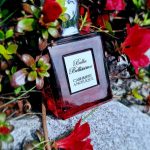 عطر ادکلن کشمیر آنجلیک بلا بلیسیما - Cashmere Angelique Bella Bellissima - بررسی، قیمت و خرید