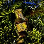 عطر ادکلن نویی دو نوئل کارون - Nuit de Noel Caron - بررسی، قیمت و خرید