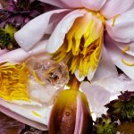 عطر ادکلن دی‌دریم آف اِ اسپلش بای فار - Daydream of a Splash By Far - بررسی، قیمت و خرید