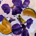 عطر ادکلن دی‌دریم آو پسینگ کلادز بای فار - Daydream of Passing Clouds By Far - بررسی، قیمت و خرید