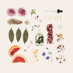 عطر ادکلن فور لاش لینن فوگازی - FOUR Lush Linen Fugazzi - بررسی، قیمت و خرید