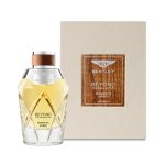 عطر ادکلن مگنتیک امبر بنتلی - Magnetic Amber Bentley - بررسی، قیمت و خرید