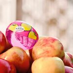 عطر ادکلن دی‌کی‌ان‌وای بی دیلیشز ارچارد است دانا کارن - DKNY Be Delicious Orchard St Donna Karan - بررسی، قیمت و خرید