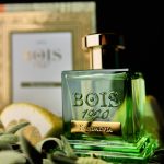 عطر ادکلن ساندلویا بویس ۱۹۲۰ - Sandalvia Bois 1920 - بررسی، قیمت و خرید