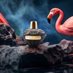 عطر ادکلن فلامینگو بلک کلیف پرفیومز - Flamingo Blackcliff Parfums - بررسی، قیمت و خرید