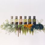 عطر ادکلن وی اتره برانلو کوچینلی - Vie Eteree Brunello Cucinelli - بررسی، قیمت و خرید