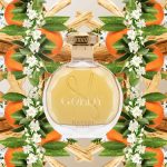 عطر ادکلن گلدی هیاری پرفیومز - Goldy Hayari Parfums - بررسی، قیمت و خرید