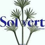 عطر ادکلن سول ورت آرومگ یولان - Sol Vert 青葵 (Parfum en Brume) aromag 岩兰 - بررسی، قیمت و خرید