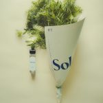عطر ادکلن سول ورت آرومگ یولان - Sol Vert 青葵 (Parfum en Brume) aromag 岩兰 - بررسی، قیمت و خرید