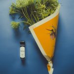 عطر ادکلن سول ورت آرومگ یولان - Sol Vert 青葵 (Parfum en Brume) aromag 岩兰 - بررسی، قیمت و خرید