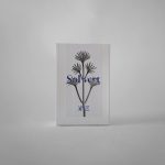 عطر ادکلن سول ورت آرومگ یولان - Sol Vert 青葵 (Parfum en Brume) aromag 岩兰 - بررسی، قیمت و خرید