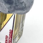 عطر ادکلن ونتو ایمپتواوزو اکستریت د پرفیوم فیلیپو سورسینلی - Vento Impetuoso Extrait de Parfum Filippo Sorcinelli - بررسی، قیمت و خرید