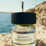 عطر ادکلن بِرگامود بی ام و فرگرنسز - Bergamood BMW Fragrances - بررسی، قیمت و خرید