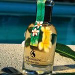 عطر ادکلن نویی دز ایله بیسومین - Nuit des Iles Bissoumine - بررسی، قیمت و خرید