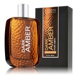 عطر ادکلن دارک امبر فور من بت اند بادی ورکس - Dark Amber for Men Bath & Body Works - بررسی، قیمت و خرید