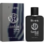 عطر ادکلن سنکای بلک بیس - Sankai Black Bi-es - بررسی، قیمت و خرید