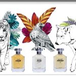 عطر ادکلن اسپریت اینفینی هیاری پرفیومز - Esprit Infini Hayari Parfums - بررسی، قیمت و خرید