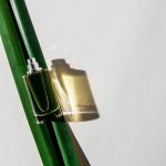 عطر ادکلن گرین سدار ابِل - Green Cedar Abel - بررسی، قیمت و خرید
