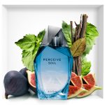 عطر ادکلن پرسایو سول آوون - Perceive Soul Avon - بررسی، قیمت و خرید