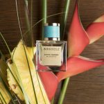 عطر ادکلن اگزاتیک جرنی بیرکولز - Exotic Journey Birkholz - بررسی، قیمت و خرید