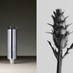 عطر ادکلن فراکشن پچولی کورپ ولَتیل - Fractioned Patchouli Corps Volatils - بررسی، قیمت و خرید