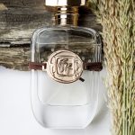 عطر ادکلن ویند آو د گریت استپ اُرا آو قزاقستان - Wind of the Great Steppe Aura of Kazakhstan - بررسی، قیمت و خرید