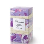 عطر ادکلن شاین لایک ا نایت بلومارین - Shine Like A Night Blumarine - بررسی، قیمت و خرید