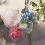 عطر ادکلن وایلد فلاور او دو تویلت بتی بارکلی - Wild Flower Eau de Toilette Betty Barclay - بررسی، قیمت و خرید