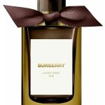 عطر ادکلن کلری سیج بربری - Clary Sage Burberry - بررسی، قیمت و خرید