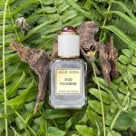 عطر ادکلن اود فوجر اگر اورا - Oud Fougere Agar Aura - بررسی، قیمت و خرید