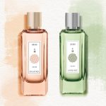 عطر ادکلن دوژو فور هیم آنیایک - Dojou For Him Annayake - بررسی، قیمت و خرید