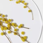 عطر ادکلن کلینیک هپی یو میک می هپی بیکاز کلینیک - Clinique Happy: You Make Me Happy Because Clinique - بررسی، قیمت و خرید