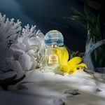 عطر ادکلن ال سیرنو هاوس آو بو - El Sireno House of BŌ - بررسی، قیمت و خرید