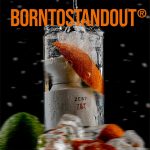 عطر ادکلن زست بورن تو استند اوت - Zest Z&T BORNTOSTANDOUT® - بررسی، قیمت و خرید