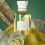 عطر ادکلن دانس اتواله گریس د موناکو - Danse Étoilée Grace de Monaco - بررسی، قیمت و خرید